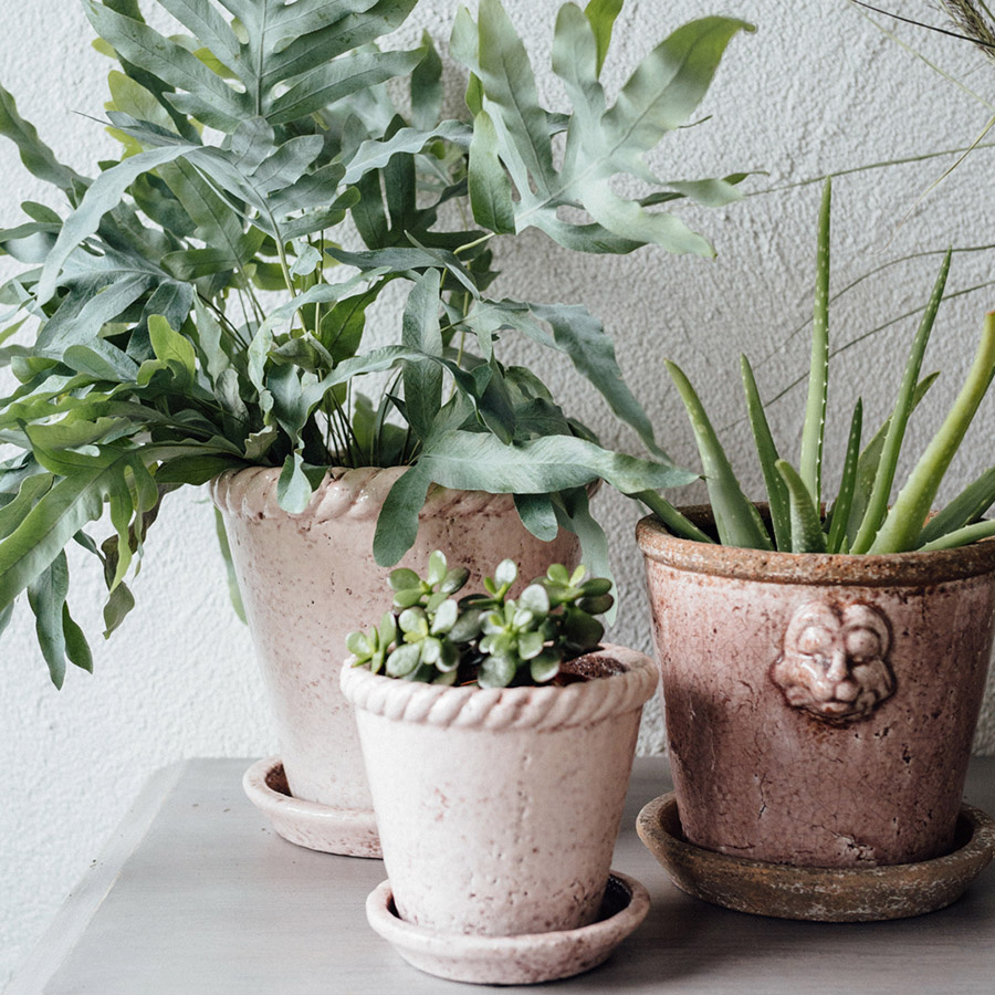 POT BRAID LARGE PINK