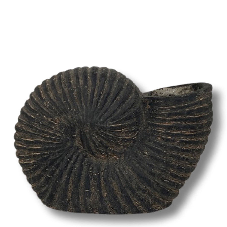 DECORATION SCROLLY LARGE