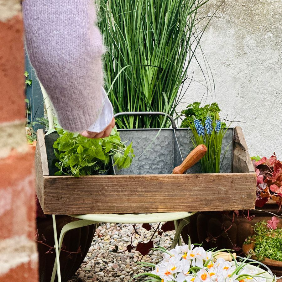 WOOD AND METAL BASKET BRIE