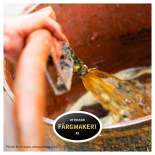 THE GARDEN BENCH 140cm THE GARDEN BENCH 140cm