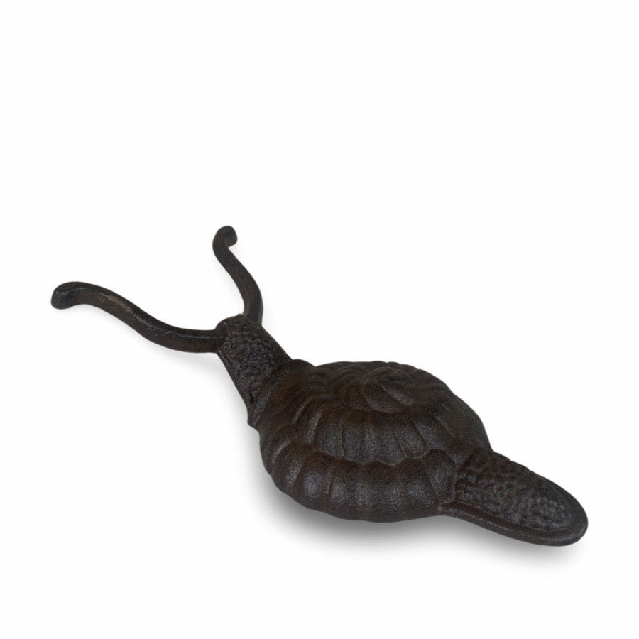 SHOE HORN SNAIL
