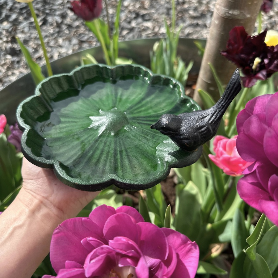 BIRD BATH GREEN