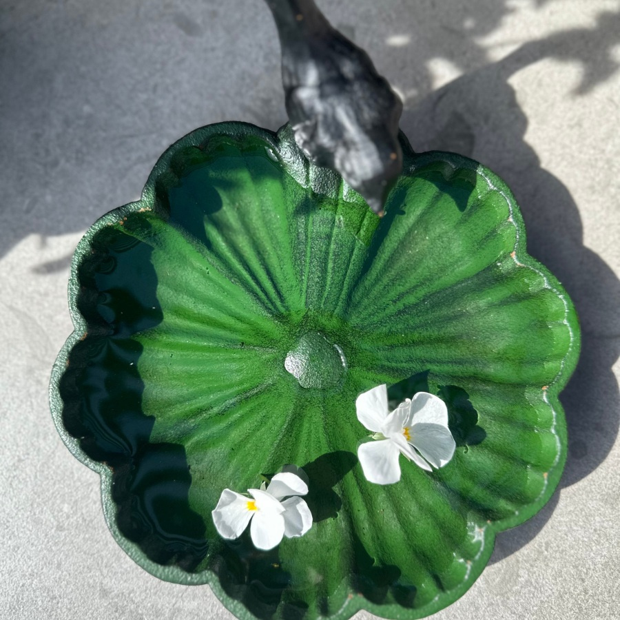 BIRD BATH GREEN