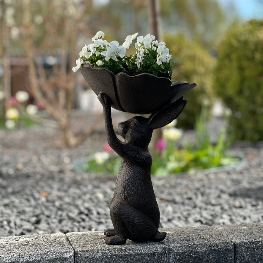 BIRD BATH JÄNIS