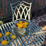 TABLE PHILIPPE LIND M TABLE PHILIPPE LIND M