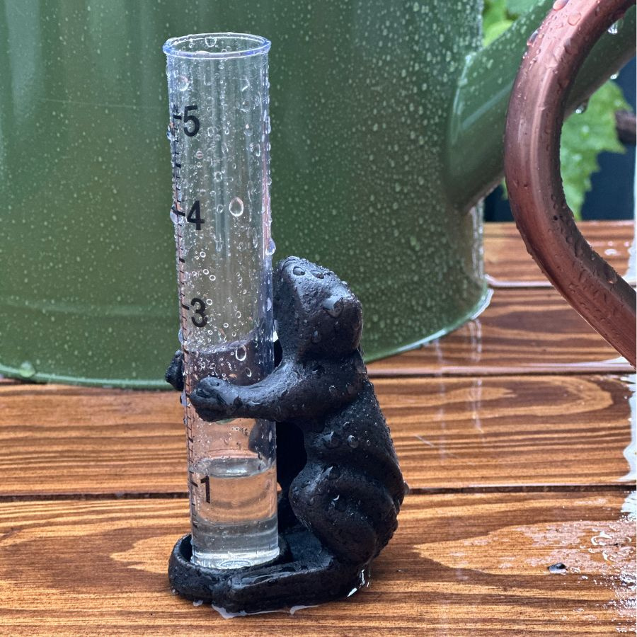 RAIN GAUGE FROG