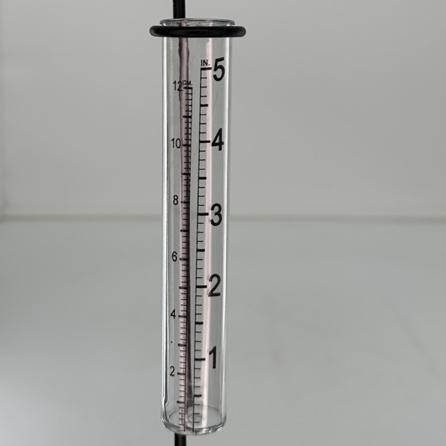 RAIN GAUGE FROG PRINCE