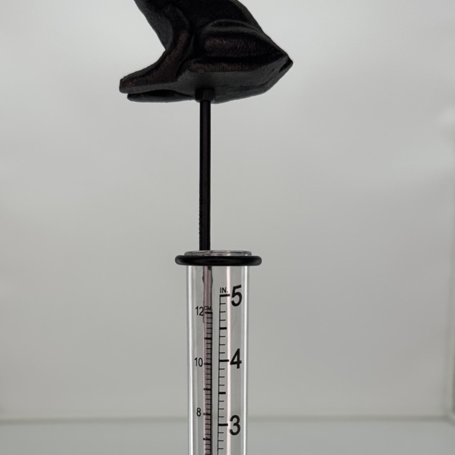 RAIN GAUGE FROG PRINCE