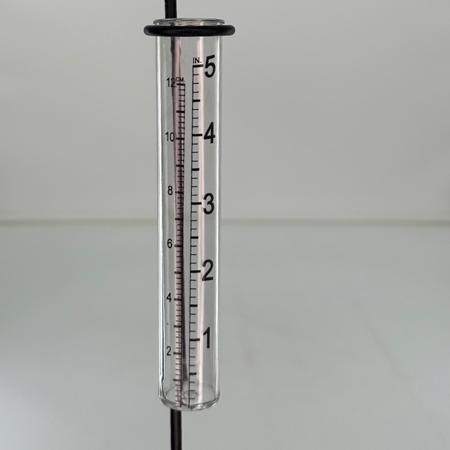 RAIN GAUGE BIRD