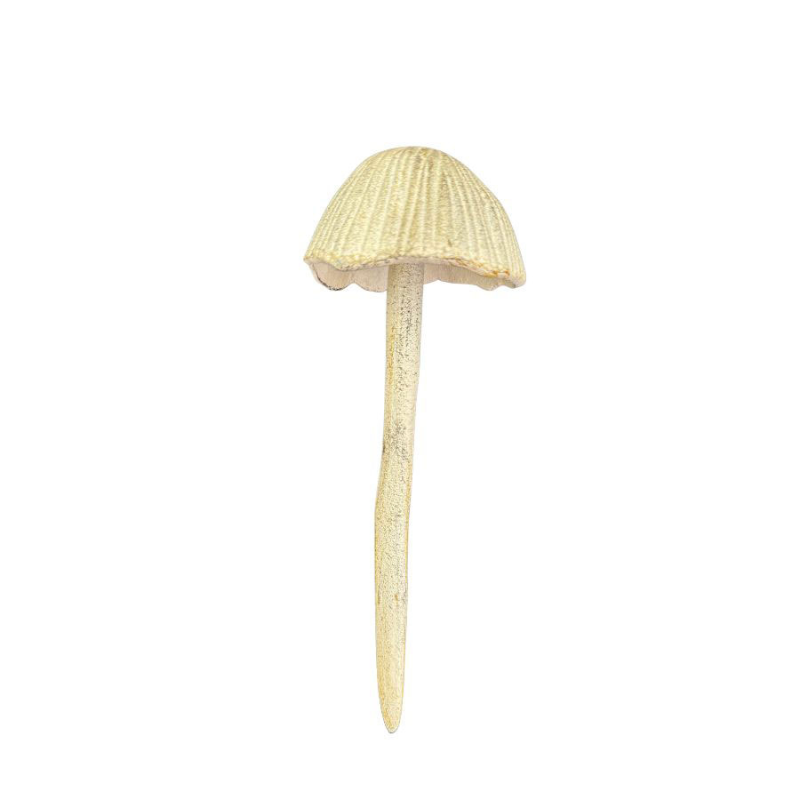 DECORATION MAGIC MUSHROOM