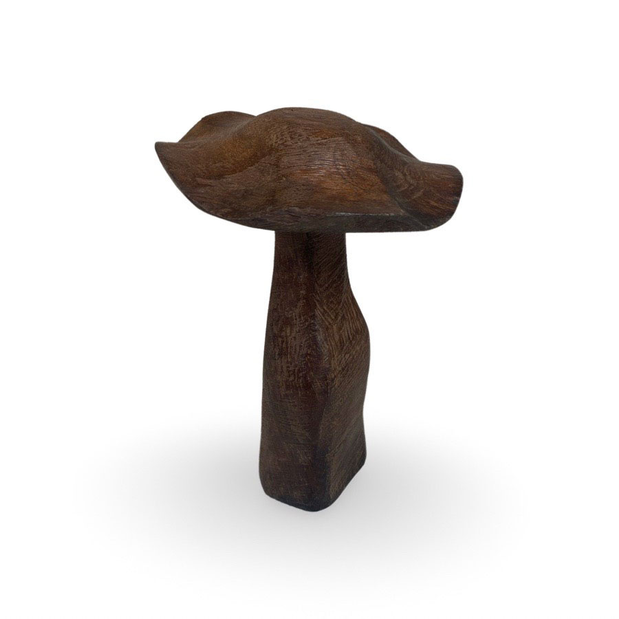 DECORATION COPRINUS M