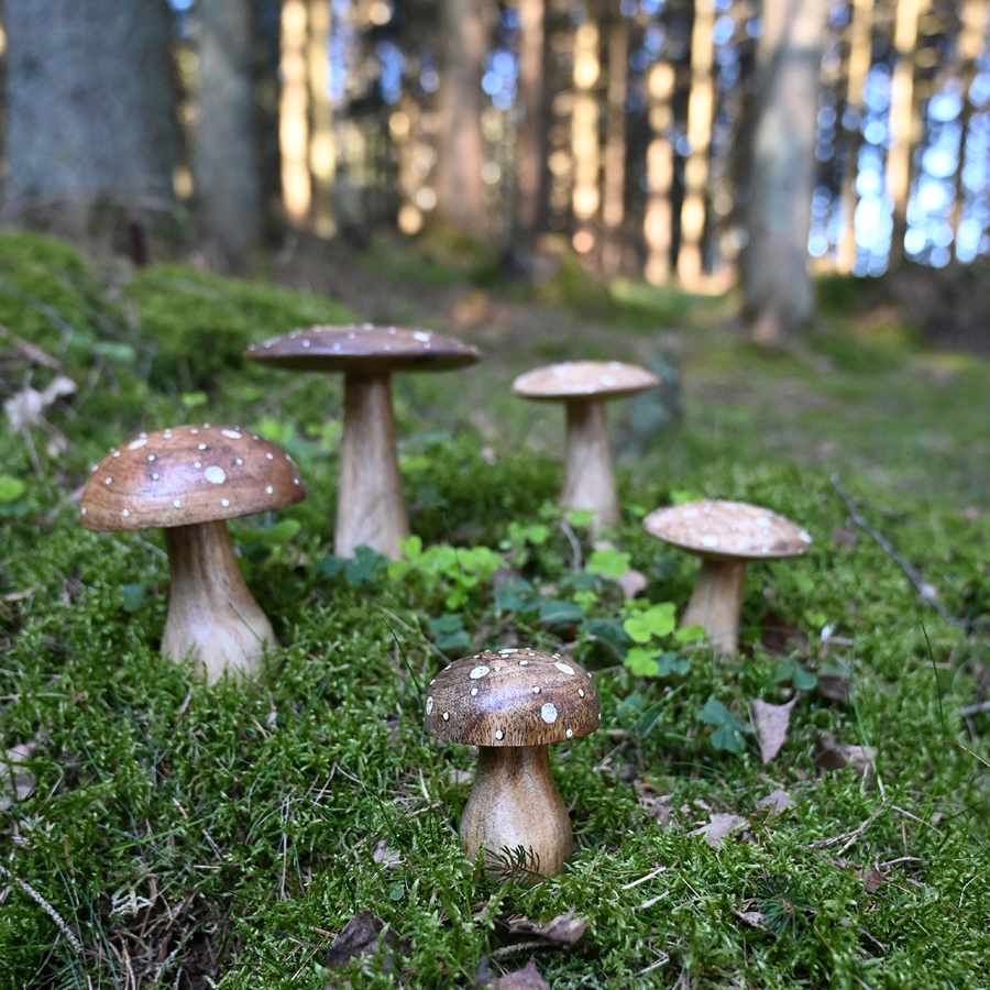 DECORATION AMANITA LARGE