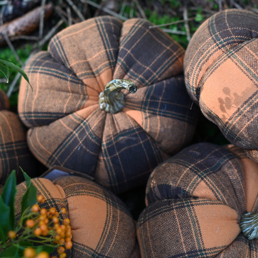 DECORATION PUMPKIN CHECKERS ORANGE