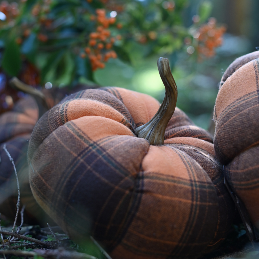 DECORATION PUMPKIN CHECKERS ORANGE