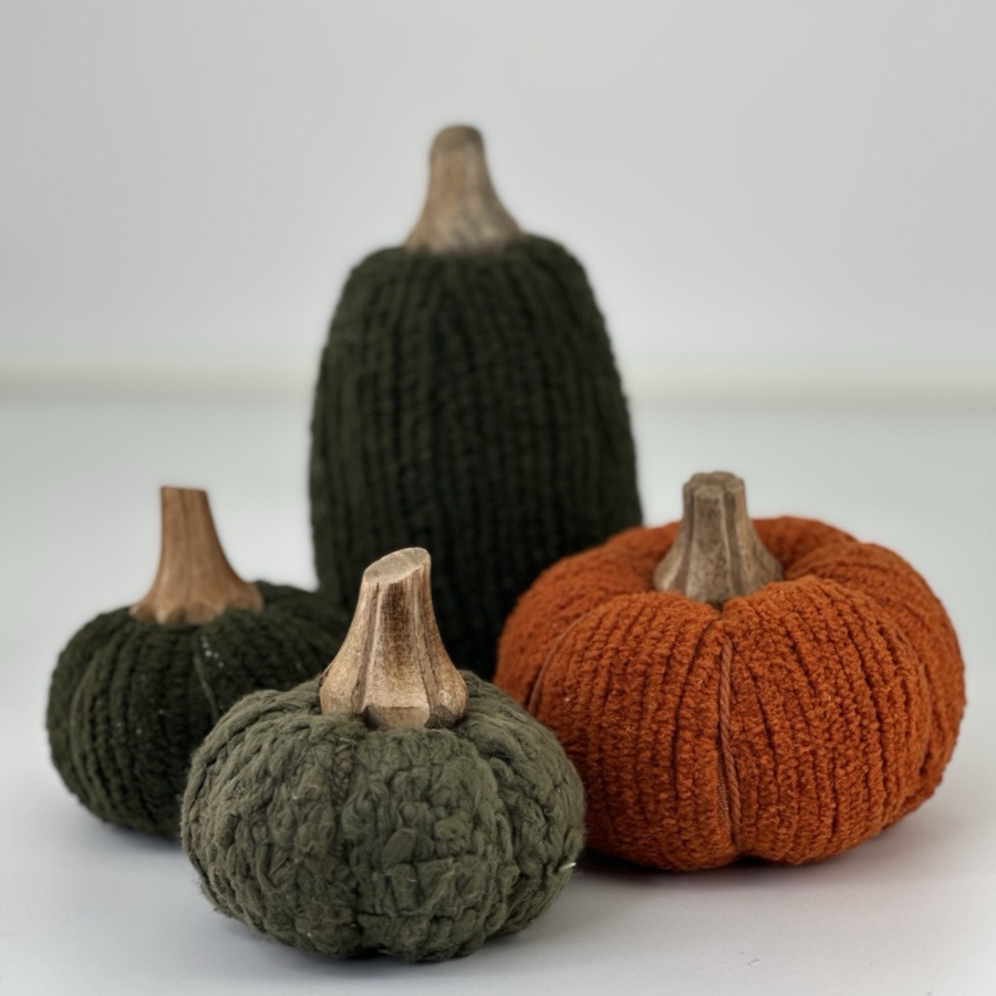 DECORATION PUMPKIN CUCURBITA M