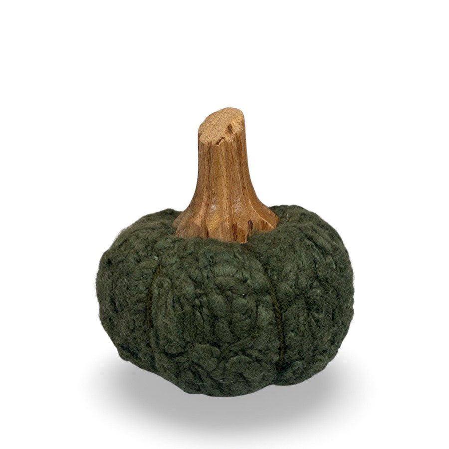 DECORATION PUMPKIN CUCURBITA S