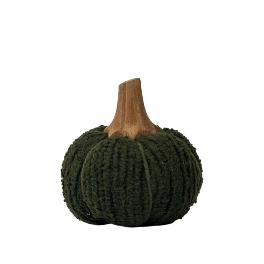 DECORTATION PUMPKIN KABOCHA S