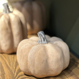 DECORATION PUMPKIN MAXIMA M DECORATION PUMPKIN MAXIMA M