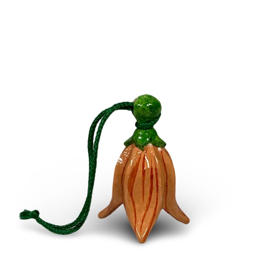 HANDPAINTED FLORA APRICOT