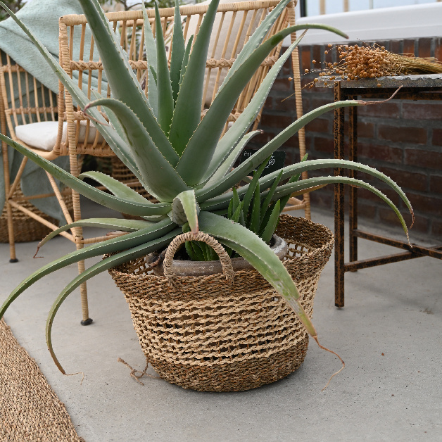 BASKET w HANDLES CASSIE 2ass