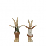 DECORATION DRESSED KIT GREEN 2ass DECORATION DRESSED KIT GREEN 2ass