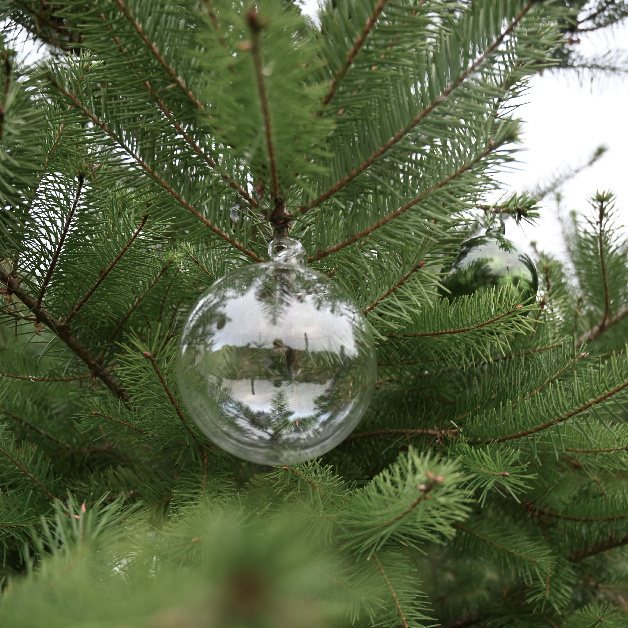 ORNAMENT SHEERE CLEAR LARGE