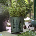 CANDLE HOLDER PINE FORREST S CANDLE HOLDER PINE FORREST S